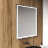 Mirror frame Led
