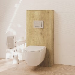 Sanitario CLOUD con...